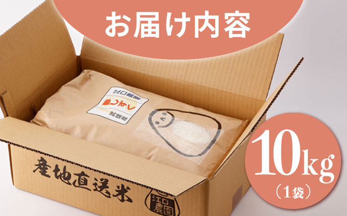 【最高ランク 特A評価】夢しずく 白米 10kg 配送前精米/江口農園[UBF013] 白米 米 お米 精米 佐賀県