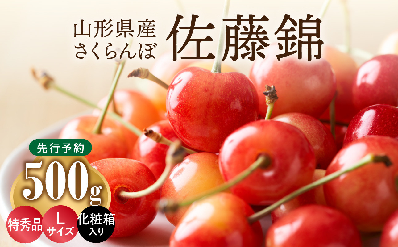 《先行受付》さくらんぼ 佐藤錦 500g 特秀品 Lサイズ 化粧箱入【2026年6月中旬頃～発送予定】【山形県産さくらんぼ】
