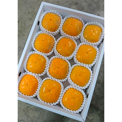 国城観光農園のたねなし柿12個入り(2Lサイズ)