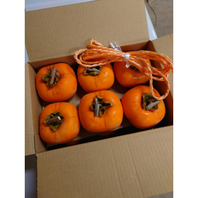 吊るし柿用たねなし渋柿(品種:ひらたねなし柿)です。