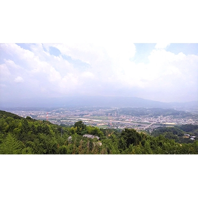 橋本市を東西に流れる紀の川の南側に位置する国城山の中腹にて作られたたねなし柿です。