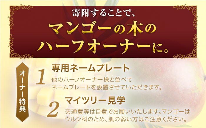 世界に選ばれたプリンセスマンゴー