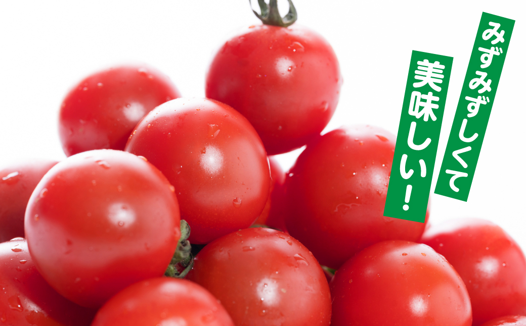 みずみずしくて美味しい!