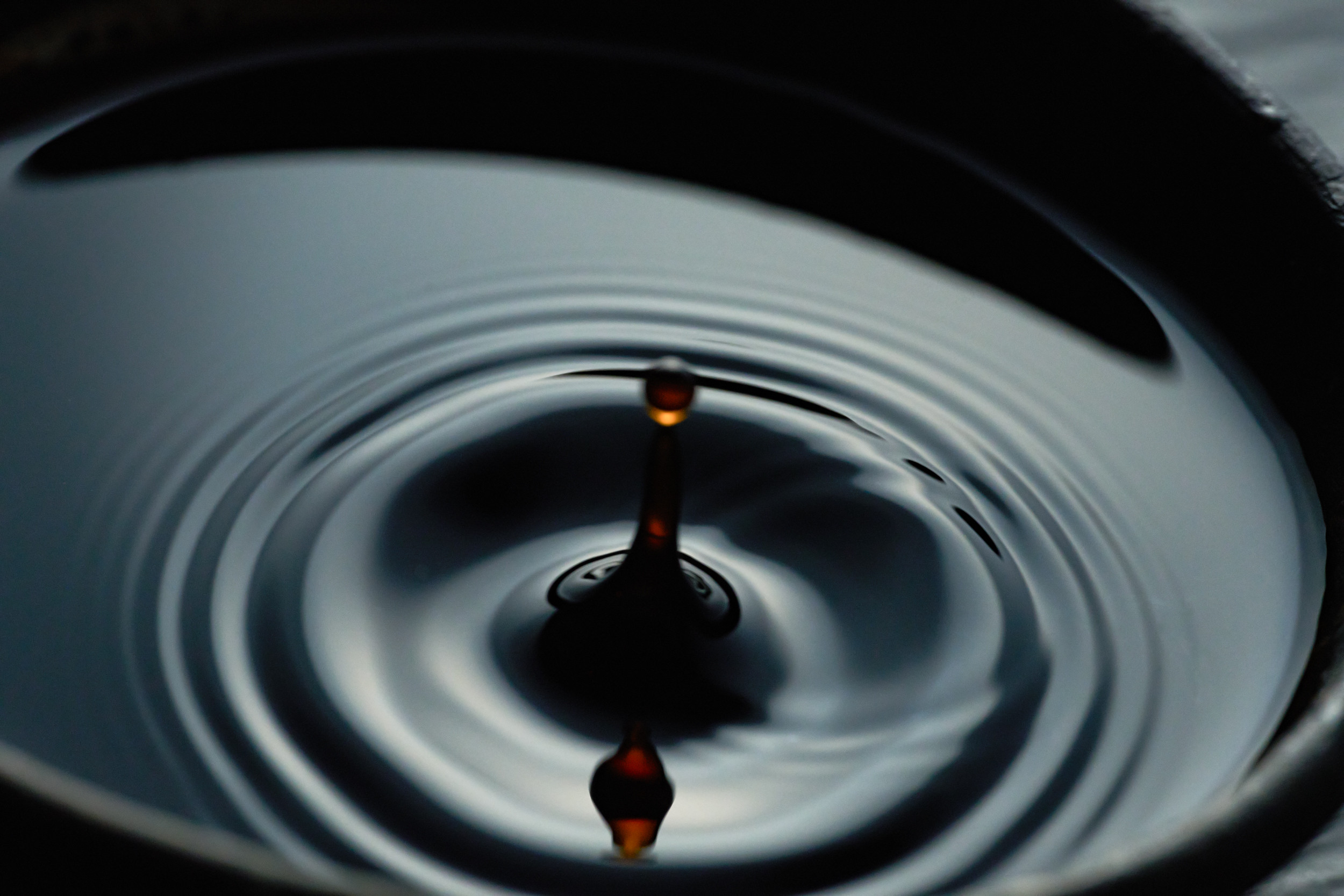 契約農家さんによって丹精込めて有機栽培された大豆と小麦たちと、赤穂の海水塩。