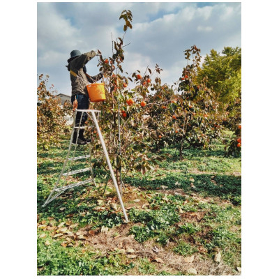 農家としてはまだまだ若手の私たちですが、毎年試行錯誤しながら、より良いものを作れるよう努力しています。