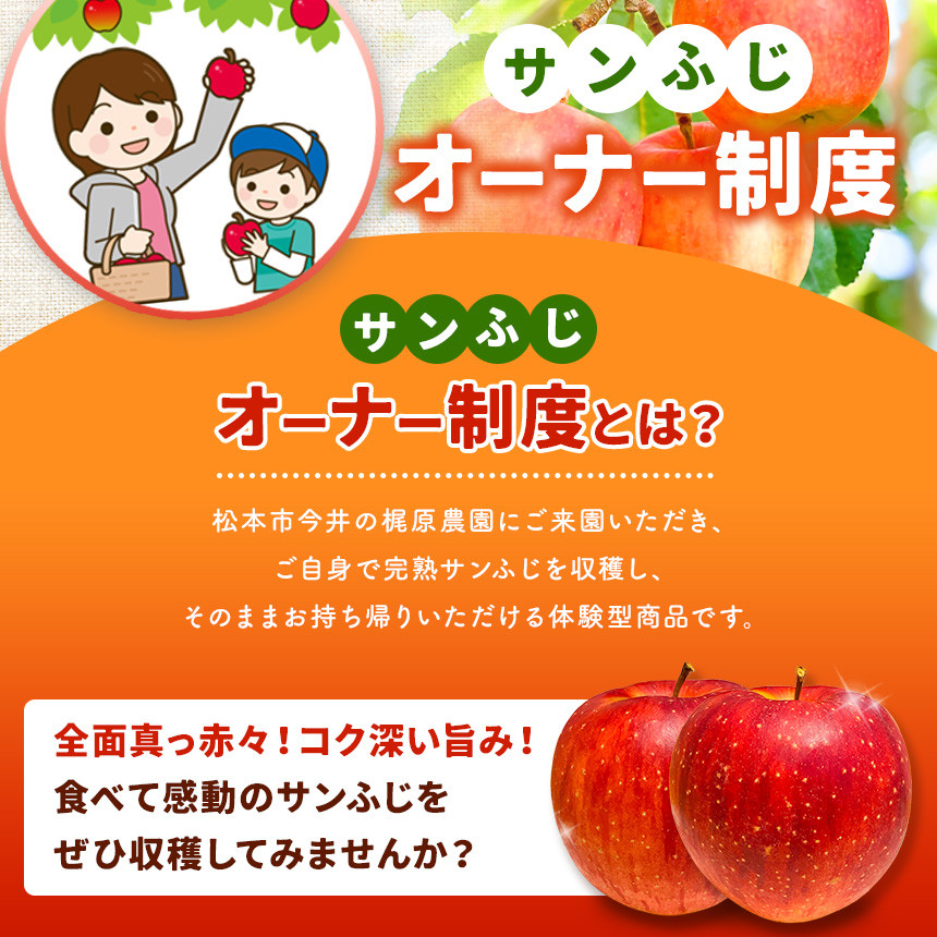 紅葉も空気もきれいな信州で　リンゴの収穫をお楽しみください。
