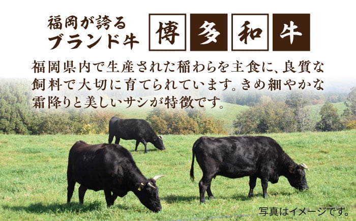 牛肉 霜降り 博多 和牛 焼肉 焼き肉 バーベキュー 黒毛和牛 カルビ バラ