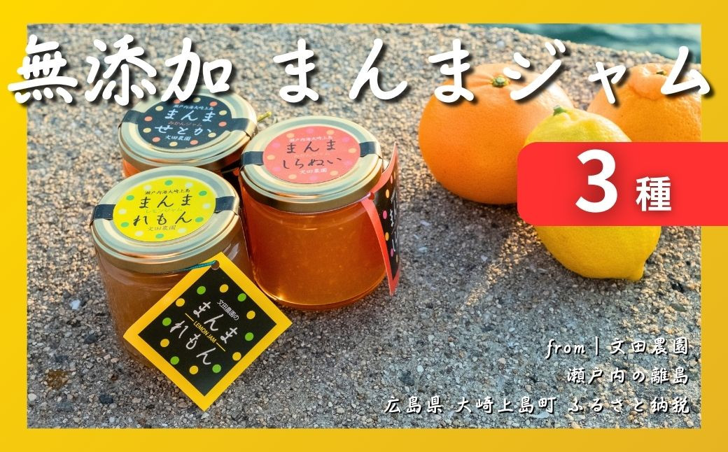 今年収穫した柑橘でつくる無添加ジャム