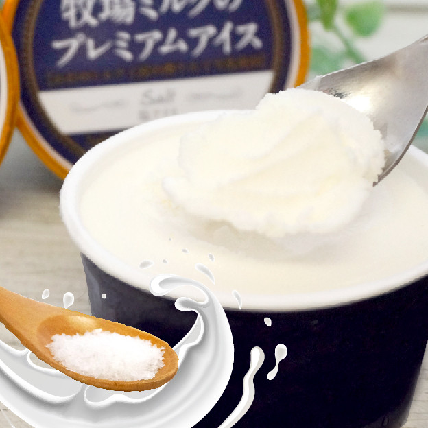 やわらかい塩味が加わりアイスの甘さをより感じられる「塩アイス(塩バニラ)」