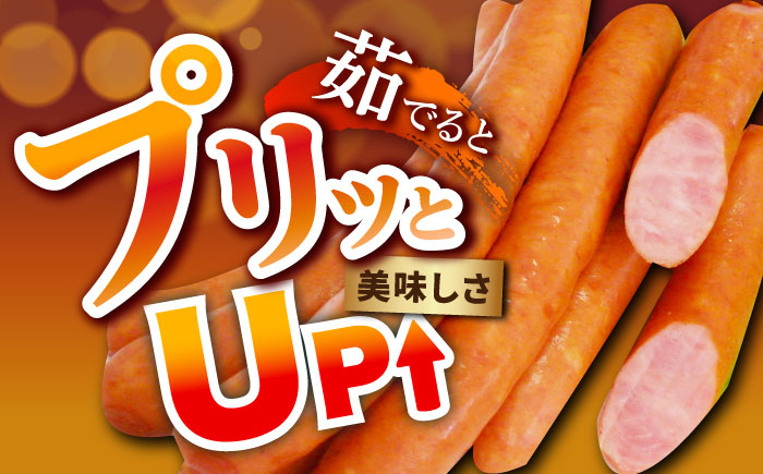 【12回定期便】あらびきウインナー 7袋（大 105g×4袋・小 105g×3袋）/宮地ハム [UBM028]