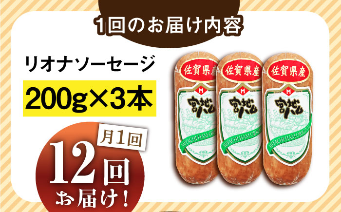 【12回定期便】リオナソーセージ 200g×3本 /宮地ハム [UBM032]