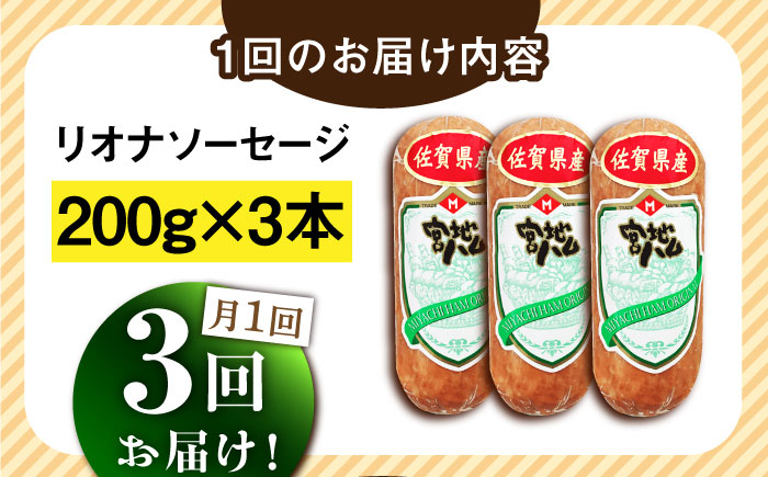 【3回定期便】リオナソーセージ 200g×3本 /宮地ハム [UBM030]
