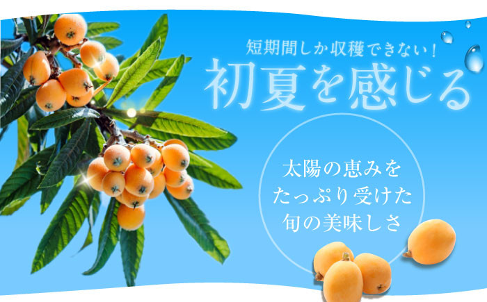 長崎 びわゼリー びわ 枇杷 ビワ お菓子 スイーツ デザート おやつ スイーツ 甘い