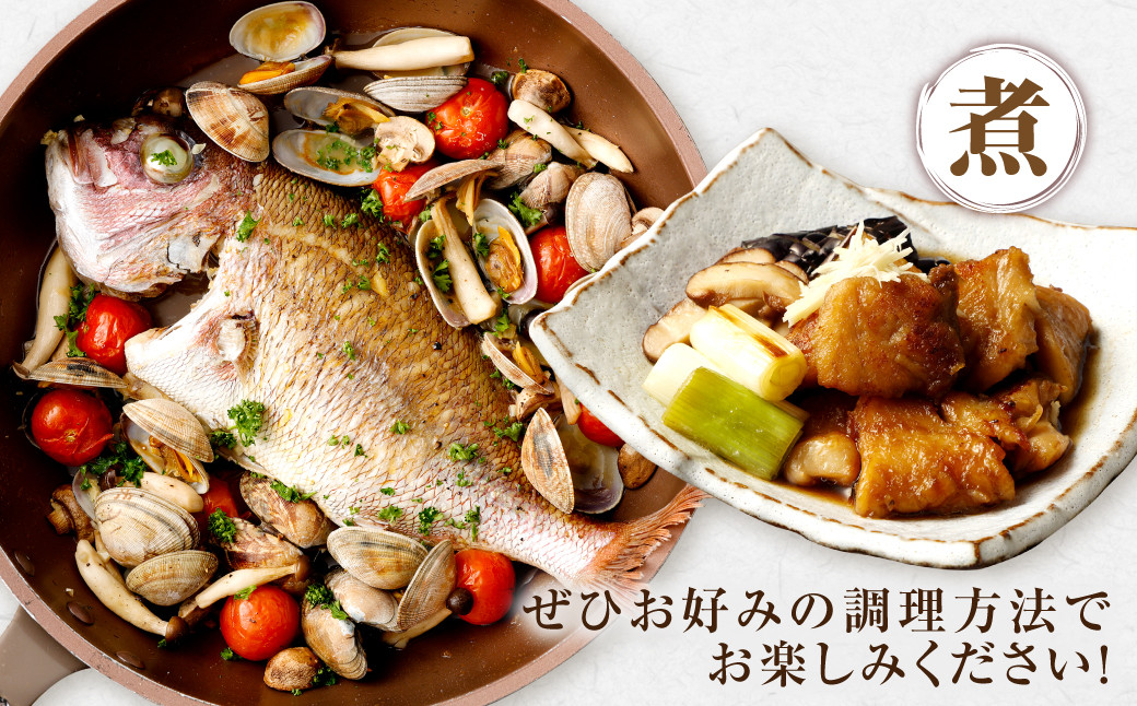 【配送指定日必須】甑海峡 天然鮮魚詰め合わせセット