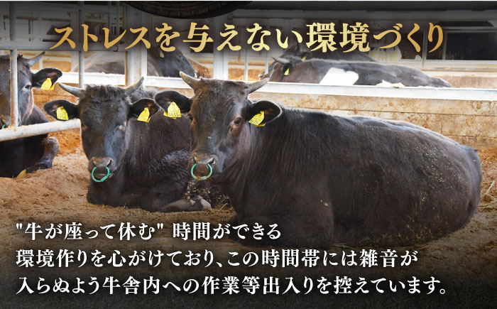 佐賀牛 牛肉 佐賀県産 黒毛和牛 すき焼き すきやき