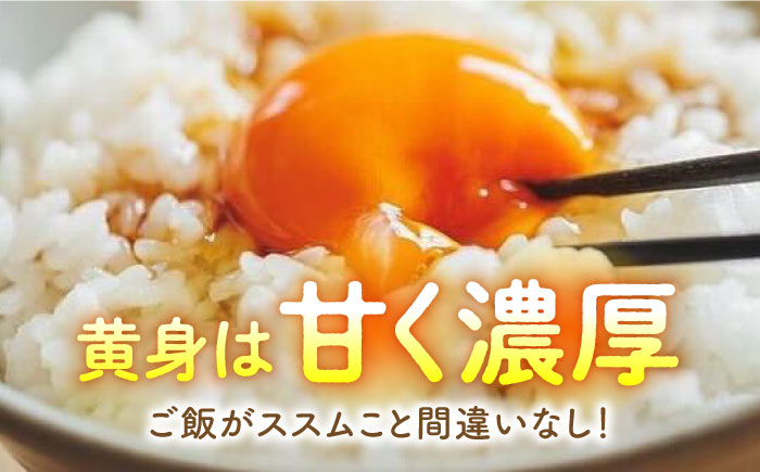 【うみたて新鮮】いとう君ちのあっぱれ卵 24個（6個×4パック）ギフトBOX 卵 たまご パック卵 鶏卵