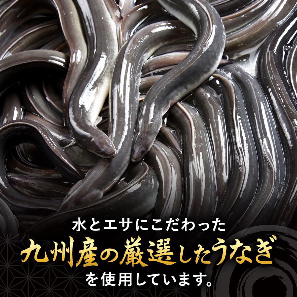 うなぎの蒲焼 (江戸前)