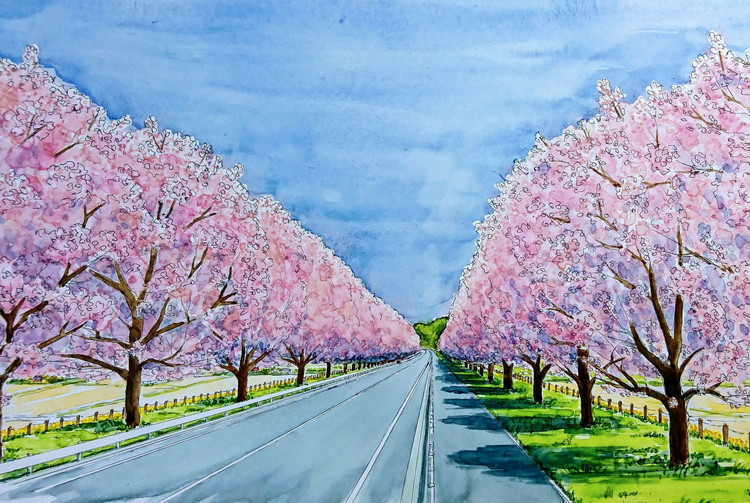 ※桜並木完成予想図（イメージ図）