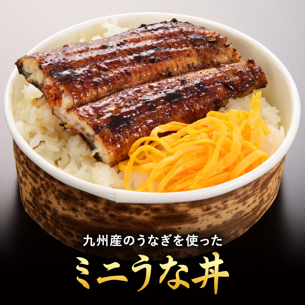 うなぎの柳川 味わいセット