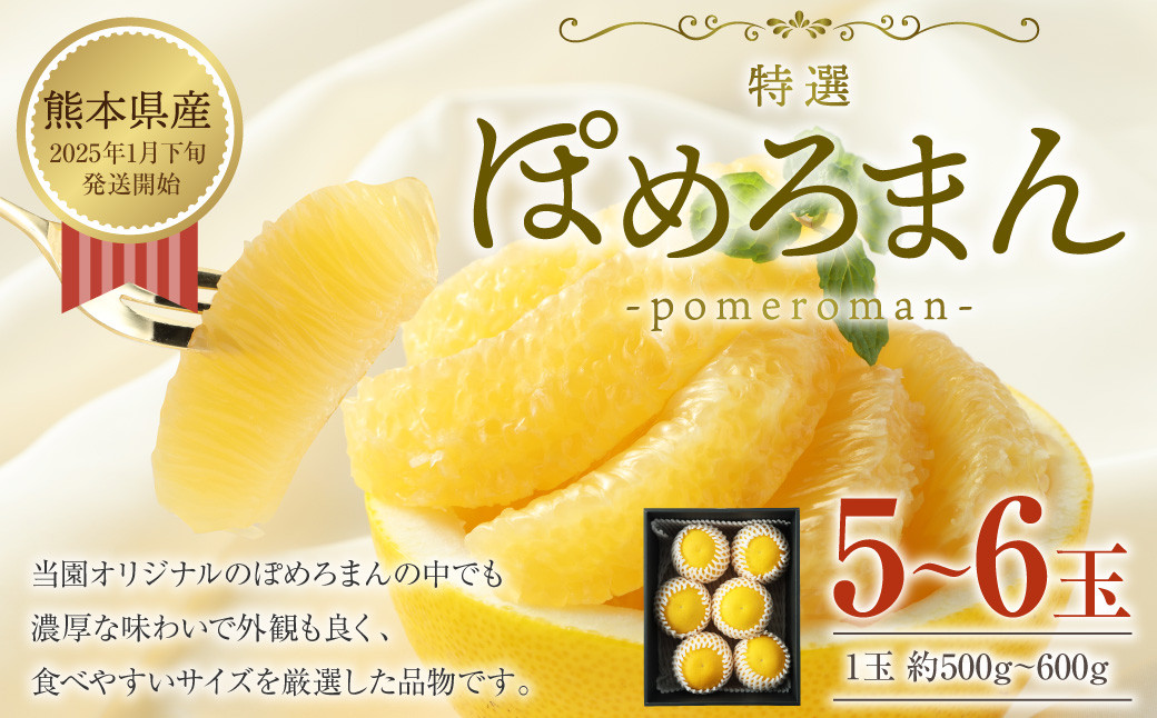特選 ぽめろまん 5～6玉 化粧箱入 1玉あたり 約500g～600g