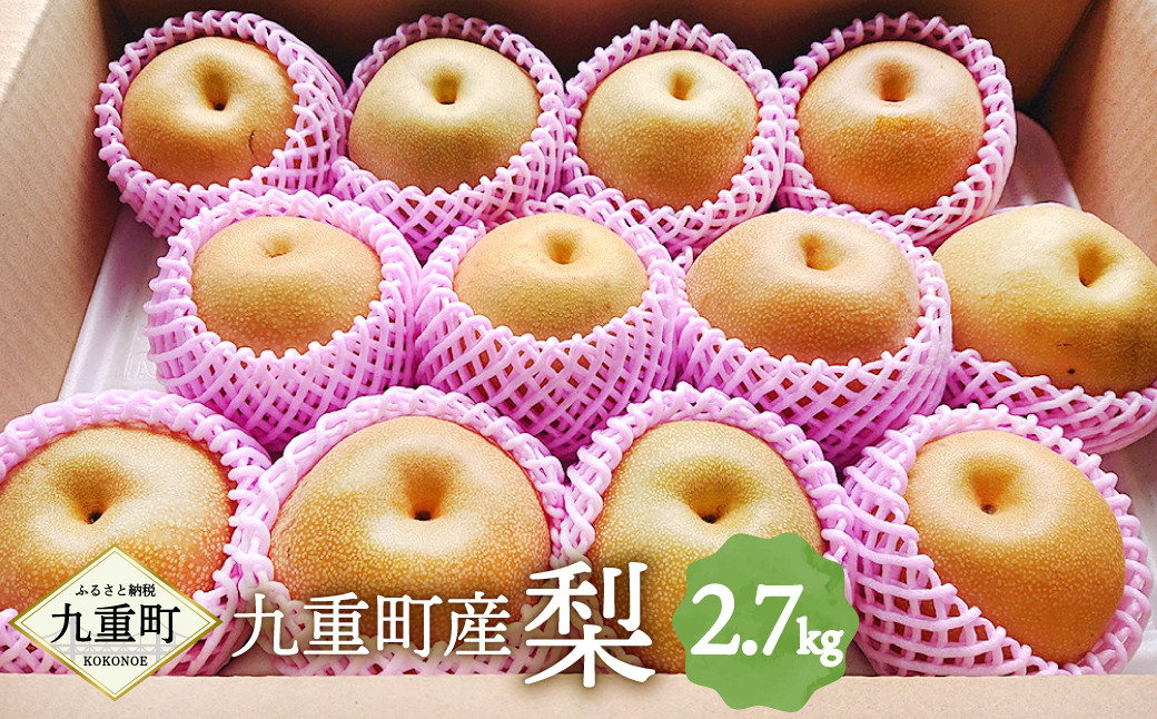 九重町産 梨 約2.7kg 豊水 新高 1種 果物 フルーツ