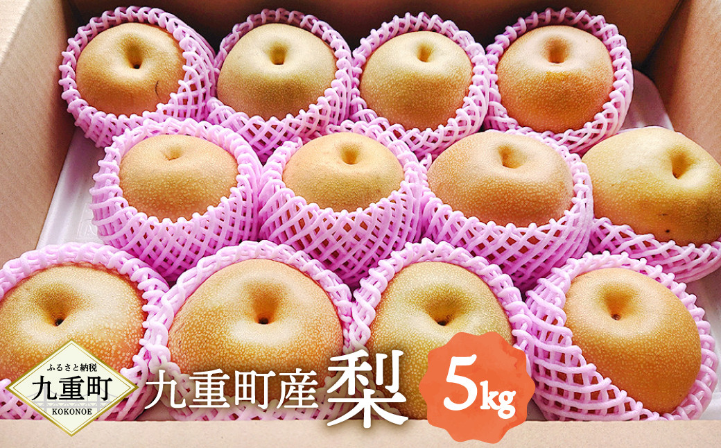 九重町産 梨 約5kg 豊水 新高 1種 果物 フルーツ
