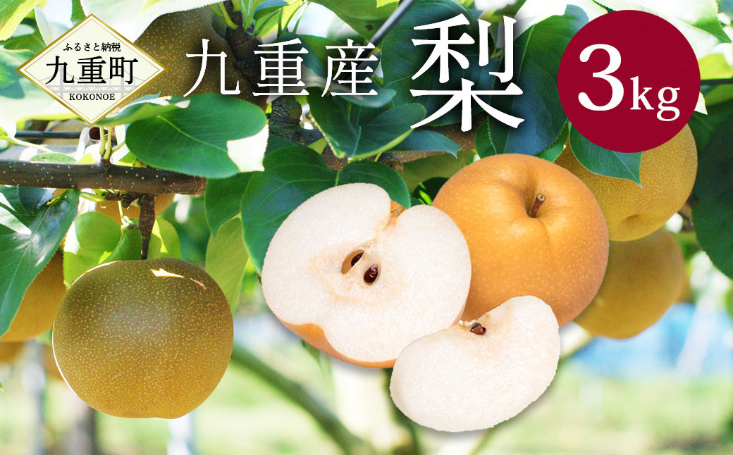永楽果樹園 梨 約3kg