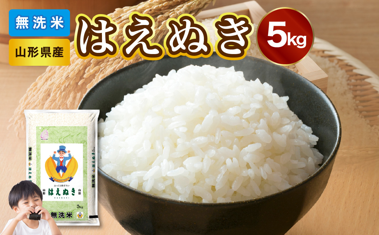 山形県産 無洗米 はえぬき 5kg【山形県産 BG精米製法】