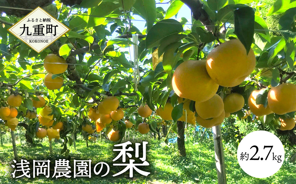浅岡農園の梨 約2.7kg