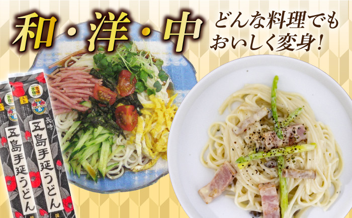 国産小麦 五島手延うどん 200g×5袋 飛魚だしつゆ 10g×10P うどん 乾麺 麺 五島うどん 【長崎五島うどん】