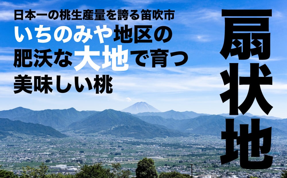 山々のミネラルが流れ出し作られた扇状地の肥沃な大地で、甲府盆地の外縁で沢山の日光を浴びながら育つ最高の桃をお届けします！