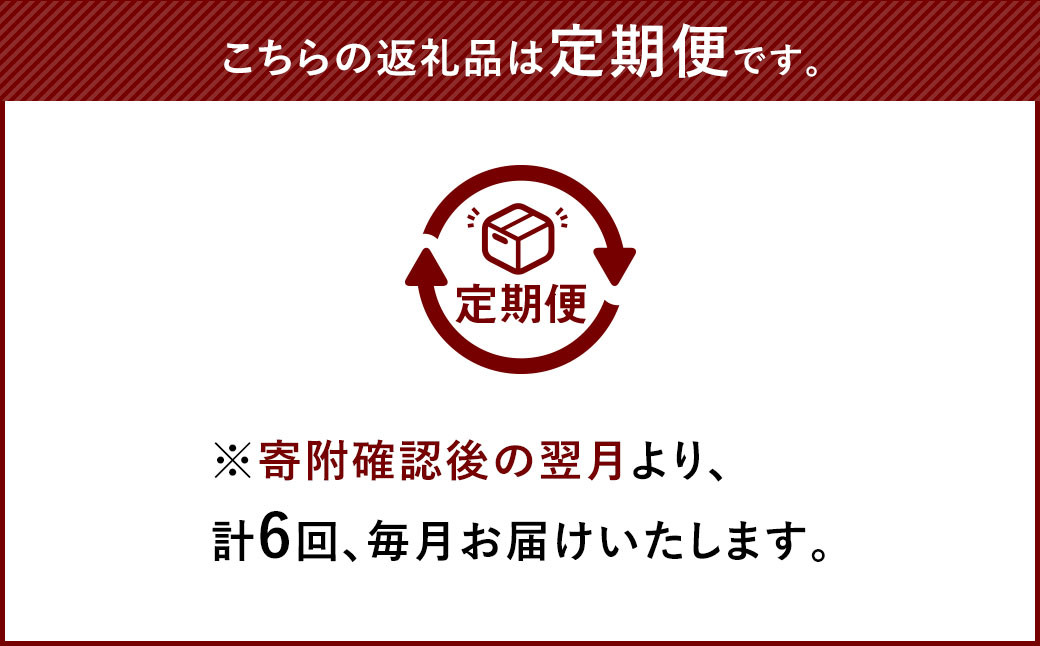 【6回定期便】カトキチ 具付き！ごぼう天うどん 12食 (260g×12袋) 