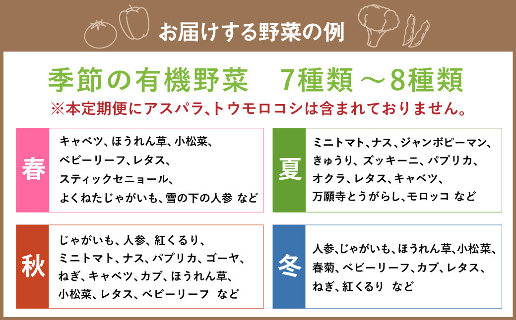 【12ヶ月定期便】有機JAS認定 季節の野菜詰め合わせ ~有機野菜セットC~