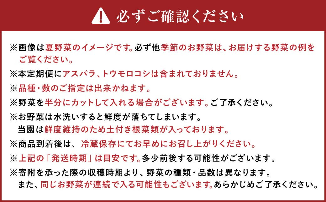 【有機JAS認定】【7ヶ月定期便】 季節の野菜詰め合わせ ~有機野菜セットB~