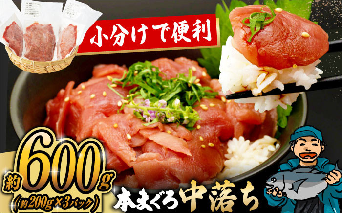 マグロ 中落ち まぐろ 長崎 海産物 魚 鮪 