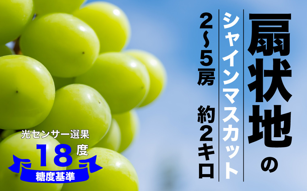 自然の力に恵まれた「いちのみや地区」にある自社農園で収穫したシャインマスカットを糖度検査をして新鮮なうちにお届けします！