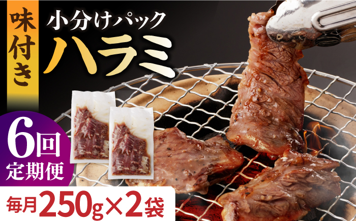 国産 牛肉 ハラミ 牛ハラミ はらみ 小分け 味付き サガリ 焼肉 焼き肉 塩 しお 冷凍 焼肉定期便 ていきびん 定期