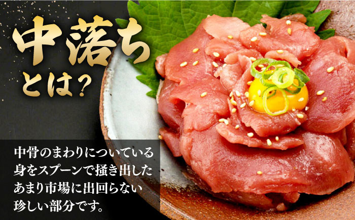 マグロ 中落ち まぐろ 長崎 海産物 魚 鮪 