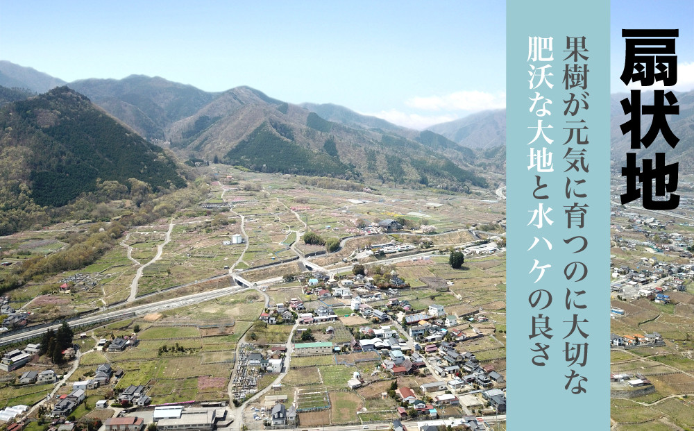 何万年もかけて山々のミネラルが流れ出し形成された扇状地は、肥沃な土と、その水ハケの良さにより果樹栽培に最も適した土地です。