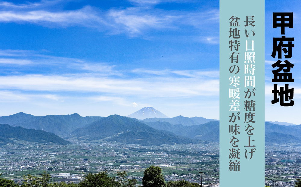 いちのみや地区は甲府盆地の外縁にあり、長い日照時間と寒暖差が得られるフルーツ栽培にとって最適な場所に位置しています。