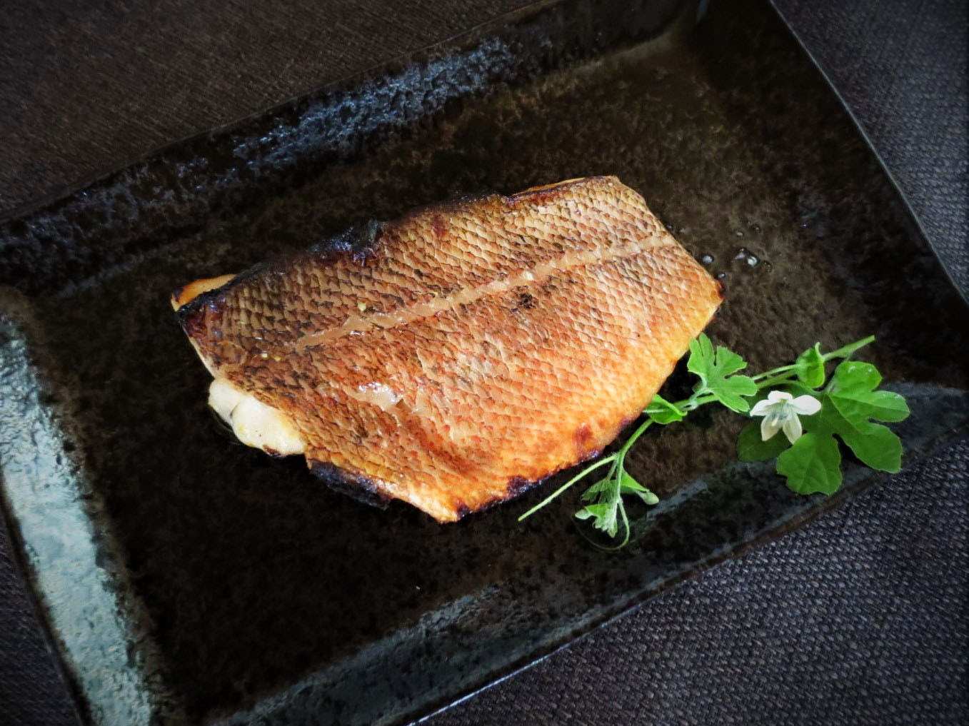 〈メバル西京漬　調理例〉