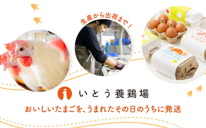 【3回定期便】いとう君ちのあっぱれ卵 80個(76個+割れ補償4個)卵 たまご 鶏卵