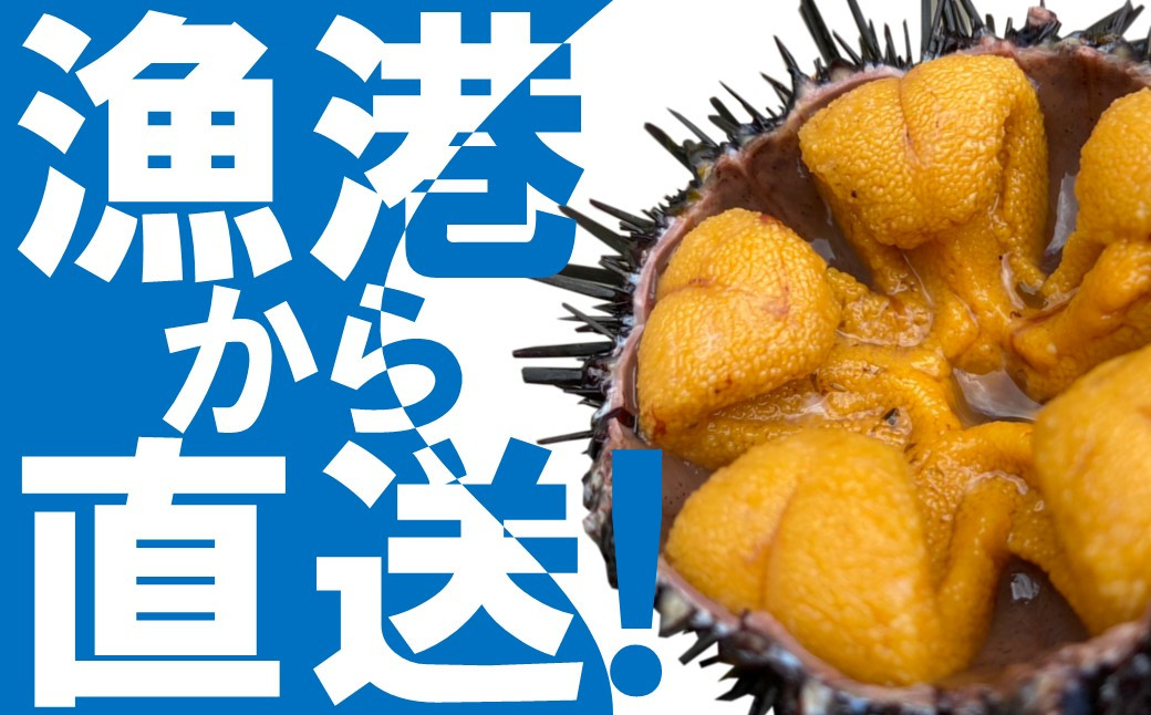 生うにが水揚げされた麦生漁港で瓶詰めして直送いたします！（※画像はイメージです。）