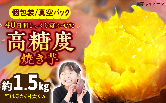 紅はるか（甘太くん）焼き芋 約1.5kg /愛まんてん [UBD008]
