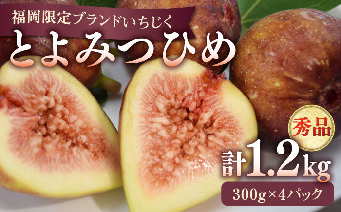 いちじく とよみつひめ 秀品 1.2kg イチジク 無花果 300g×4パック 
