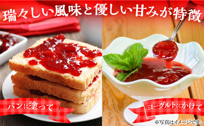 苺 いちご イチゴ ストロベリー 果物 くだもの ジャム 紅ほっぺ フルーツ