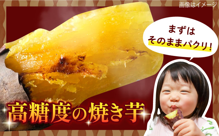 紅はるか（甘太くん）焼き芋 約1.5kg /愛まんてん [UBD008]