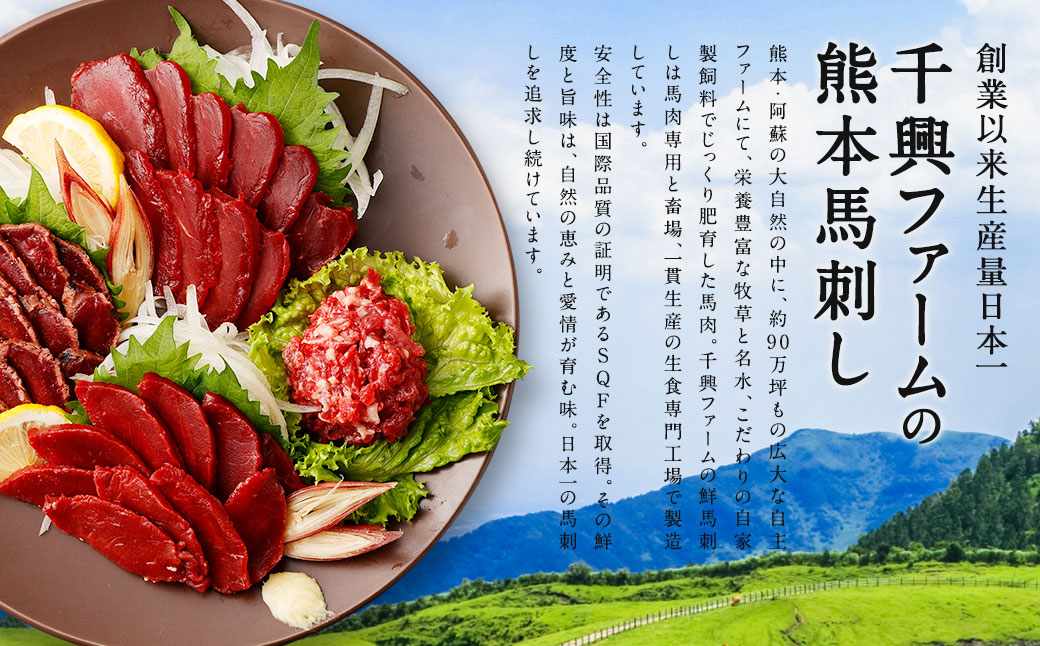 【1ヶ月毎11回定期便】鮮馬刺し 3種ブロックセット(赤身・霜降り・タタキ)