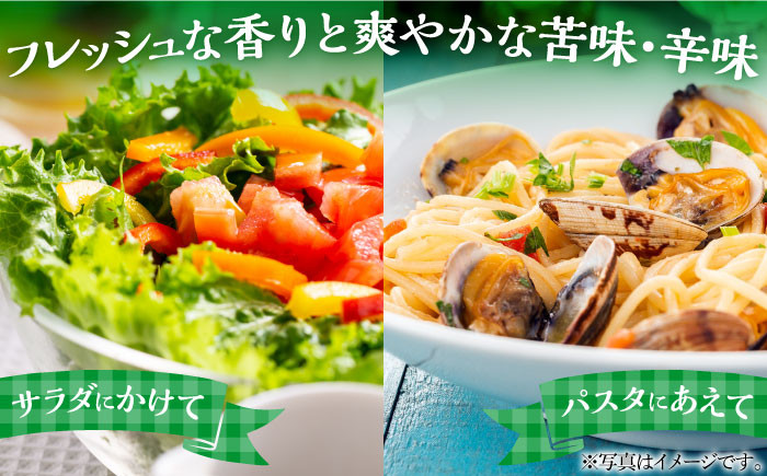 苺 いちご イチゴ ストロベリー 果物 くだもの ジャム 紅ほっぺ フルーツ