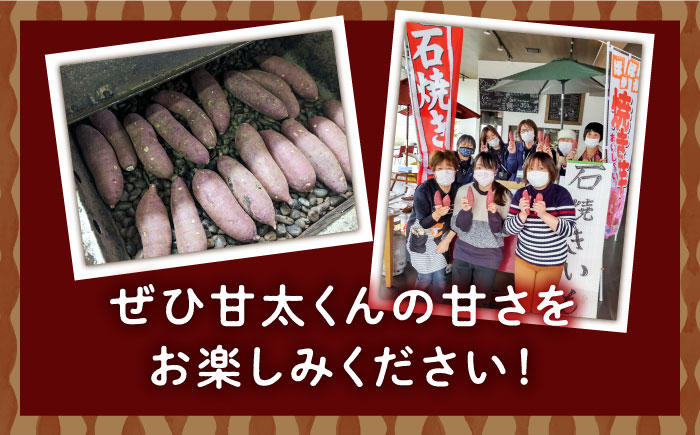 紅はるか（甘太くん）焼き芋 約1.5kg /愛まんてん [UBD008]